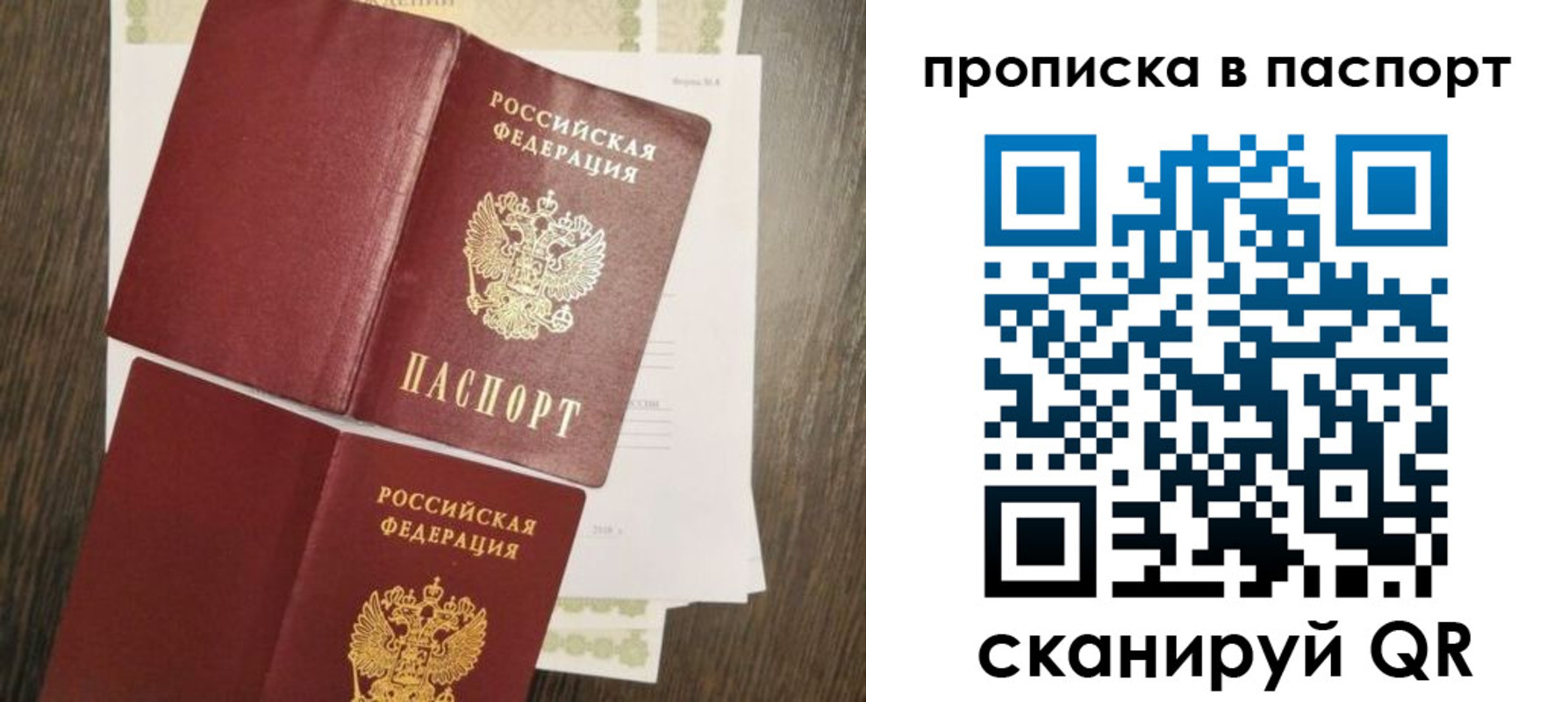 прописка гарантия в Ногинске